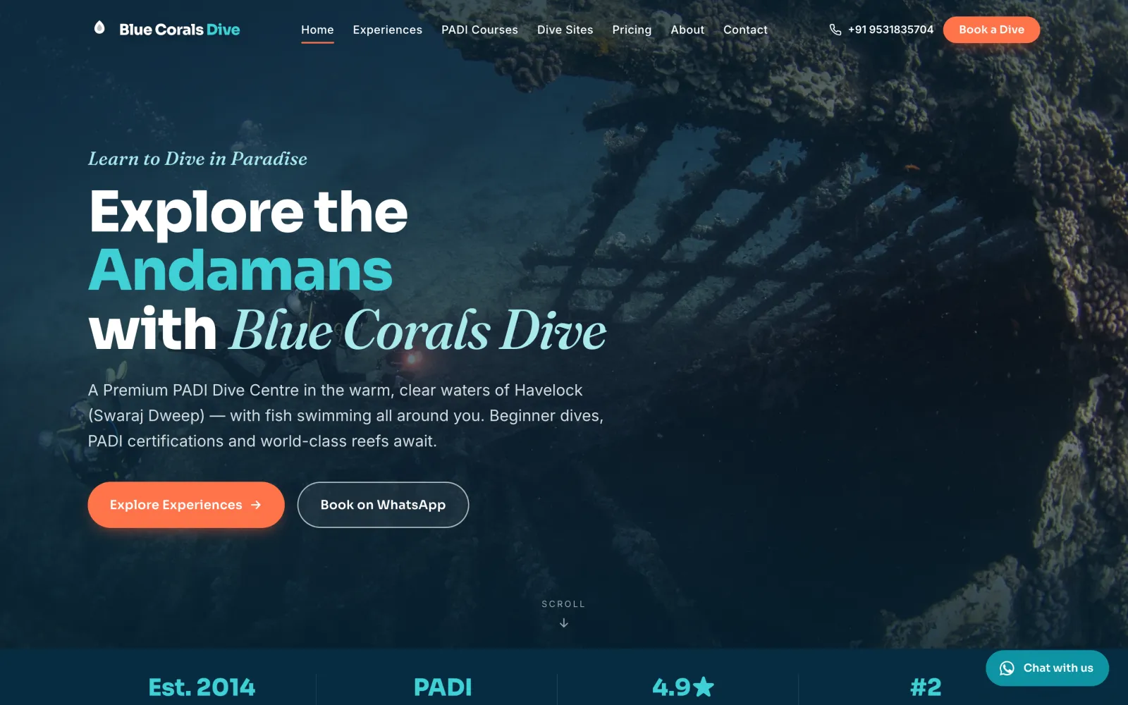 Blue Corals Dive — homepage