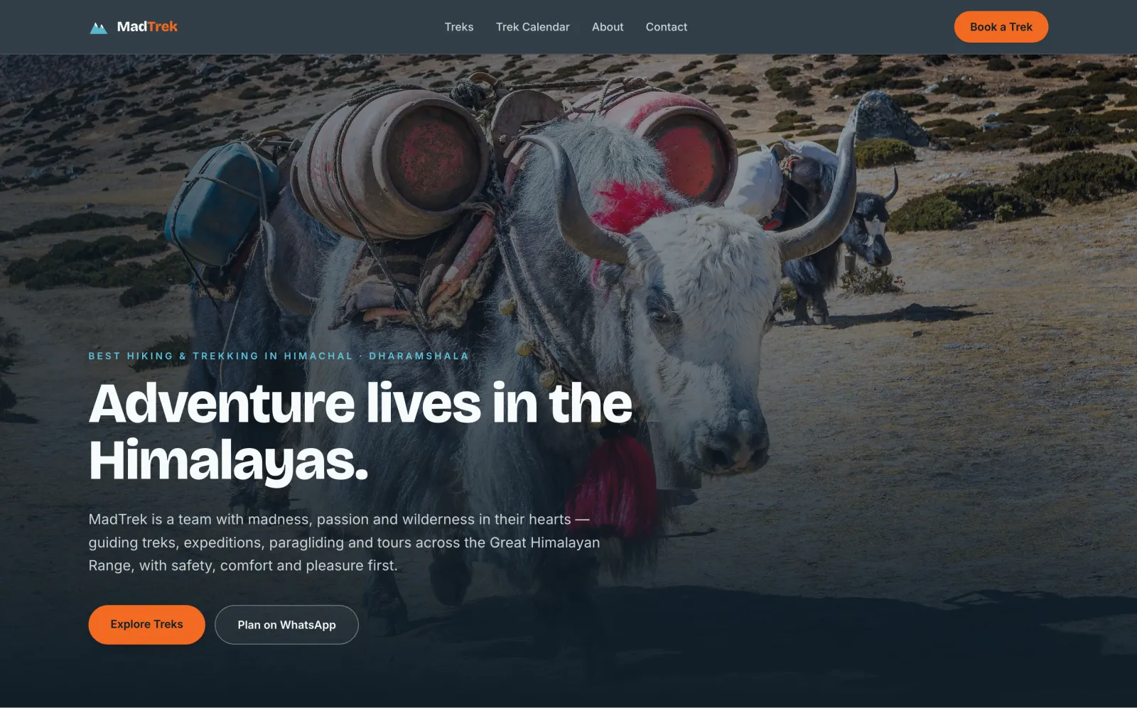 Mad Trek Adventures — homepage